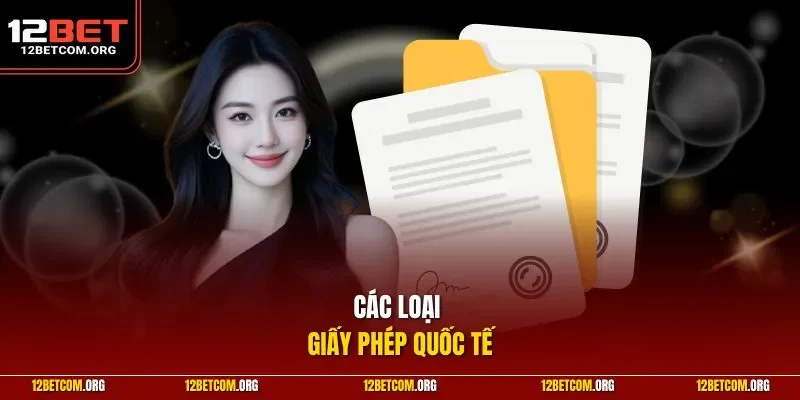 Các loại giấy phép quốc tế
