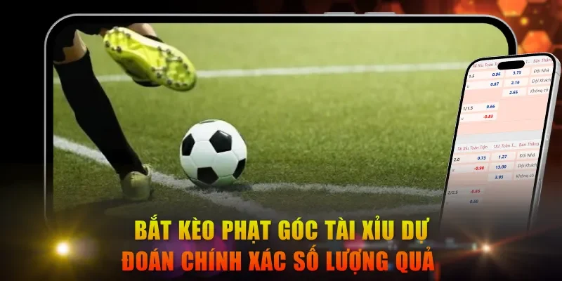 Bắt kèo phạt góc Tài Xỉu dự đoán chính xác số lượng quả